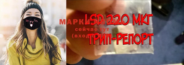стафф Дмитровск