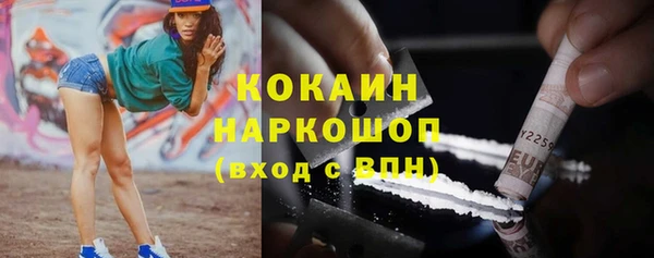 стафф Дмитровск