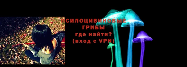 экстази Дмитриев