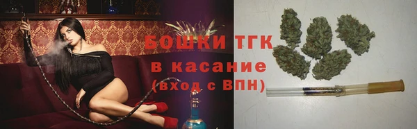 СК Дмитров