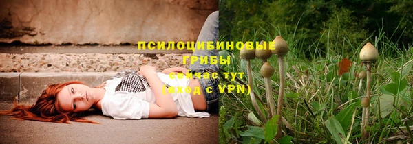 СК Дмитров