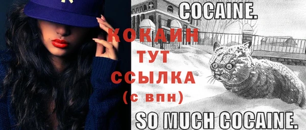 экстази Дмитриев